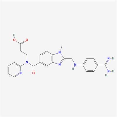 3-[2-[[(4-Carbamimidoylphenyl)amino]methyl]-1-methyl-N-(2-pyridyl)benzimidazole-5-carboxamido]propanoic Acid