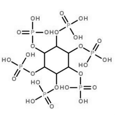 Ultra temperature resistant phytase;85%,85 ℃ water bath for 5 minutes, enzyme activity maintained at 80%