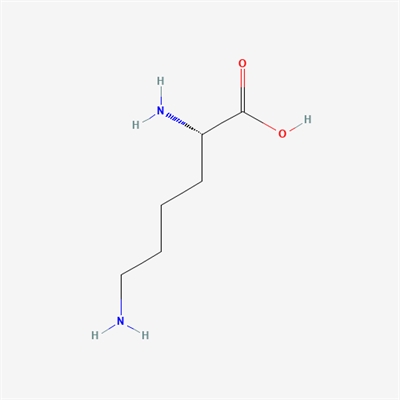 L-lysine,fermentation,an (Corynebacterium glutamicum,48h,21～23%,70%) ≥98%(Assay:65%)