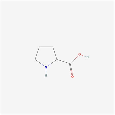 DL-Proline,fermentation(Corynebacterium ,short period,less heteroacid without  glutamic acid ,30h,5%,25%-30%) 50%-55%