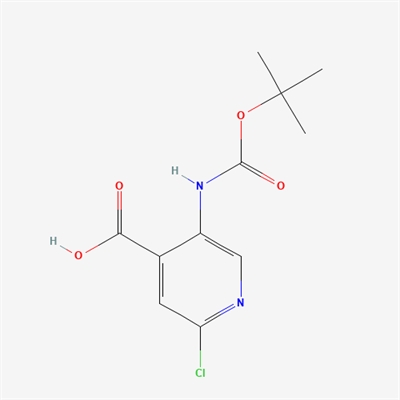 5-tert-Butoxycarbonylamino-2-chloroisonicotinic acid